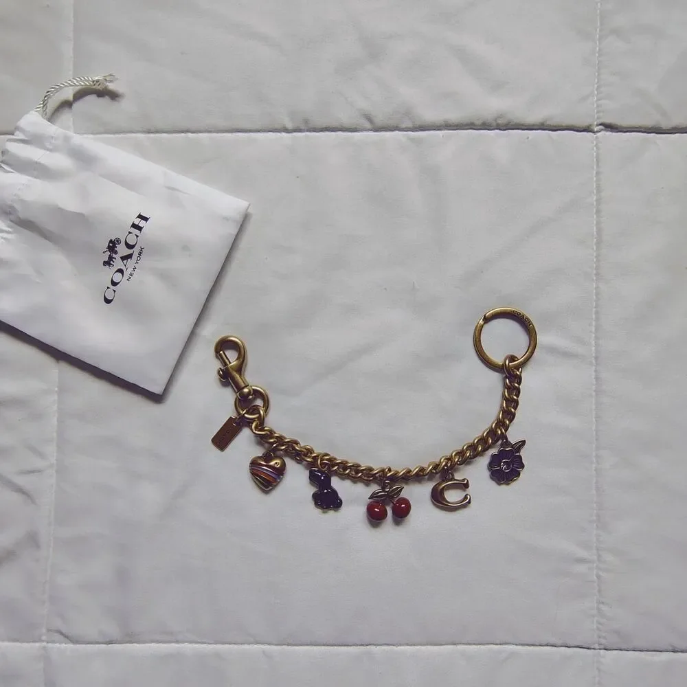 Coach multi Bag charm 🍒🐸🍎